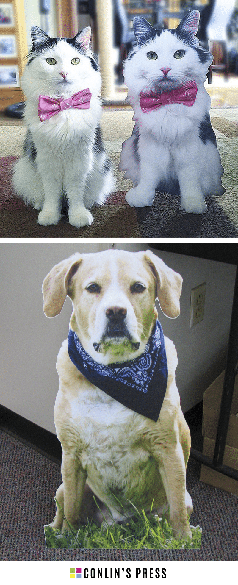 Cat & Dog Cutouts